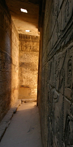 293_IMG_5339.JPG_1000