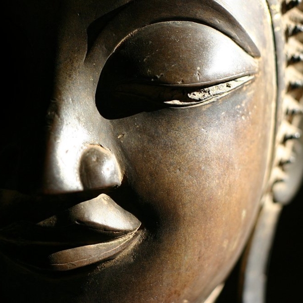 272_img_2607_neu_1000