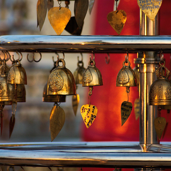 277_crw_2387_lzn_1000