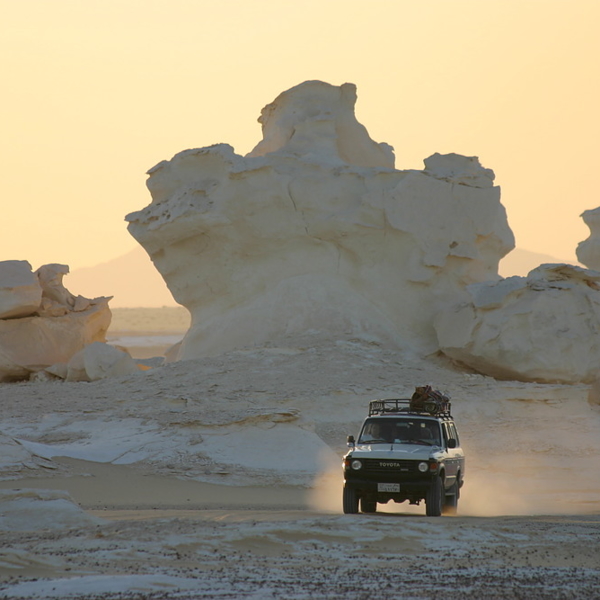 282_IMG_4425.JPG_1000