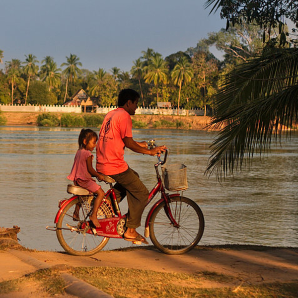 278_crw_5294_lzn-2_1000