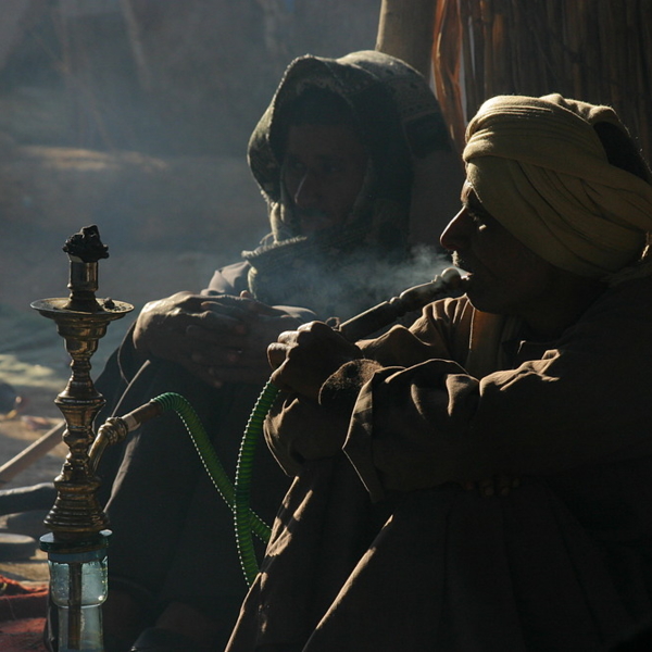 291_IMG_5167.JPG_1000