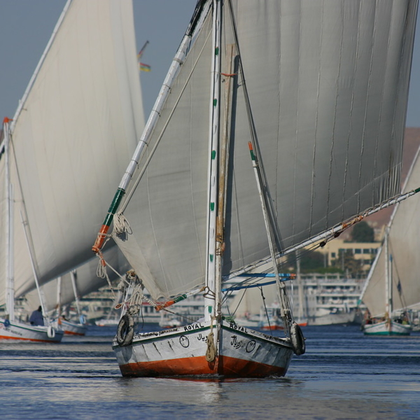 295_IMG_5552.JPG_1000