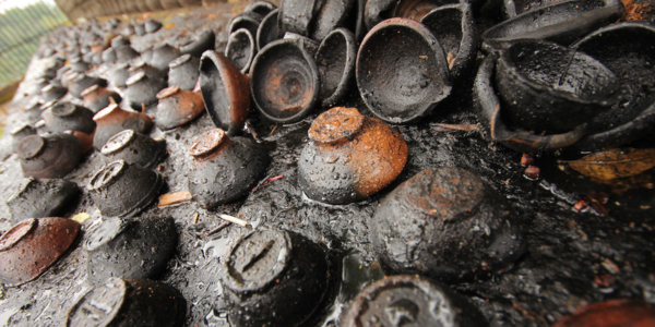 2016-07-29_11:53:00.JPG_1000