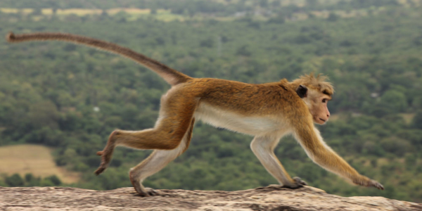 2016-08-01_11:23:17.JPG_1000