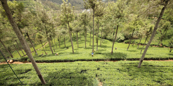 2016-08-26_11:36:26.JPG_1000