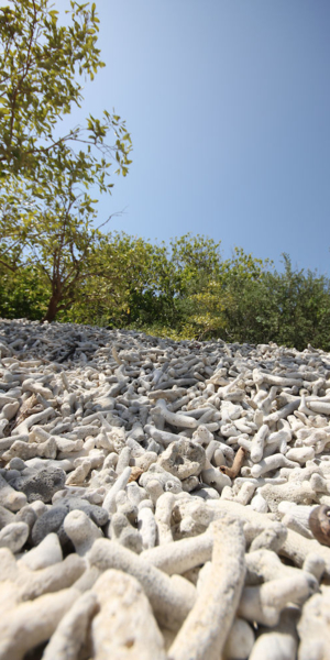 2016-08-07_10:10:37.JPG_1000