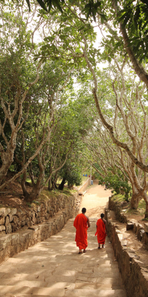 2016-08-15_16:09:13.JPG_1000