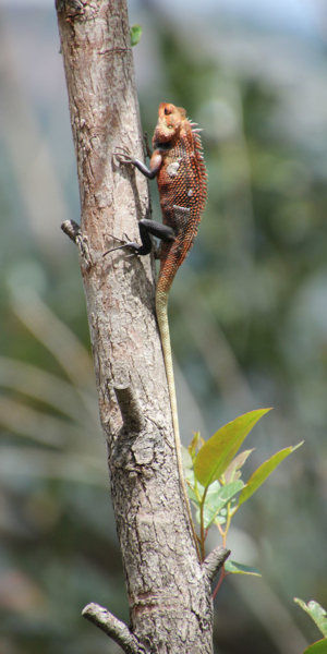 2016-08-23_11:09:07.JPG_1000