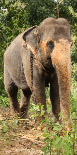 2016-08-27_15:56:23.JPG_1000