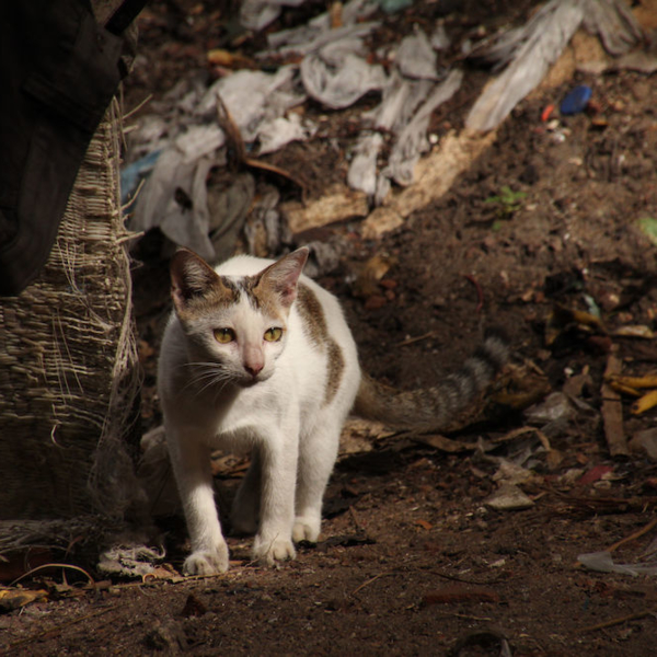 2016-07-25_15:36:55.JPG_1000