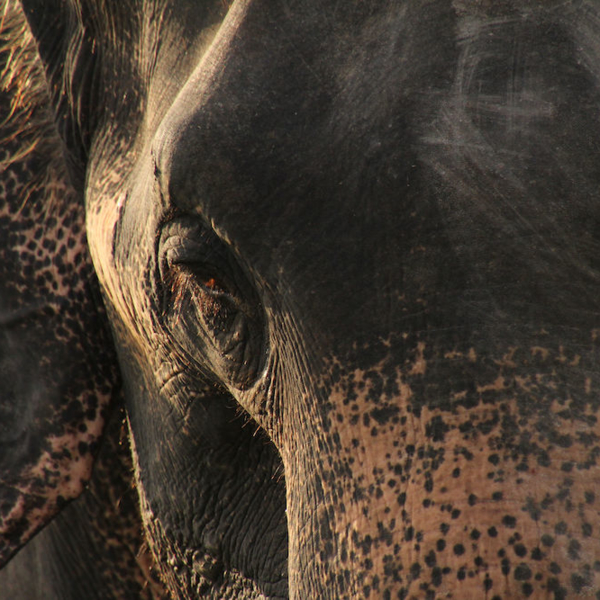 2016-08-01_17:43:24.JPG_1000