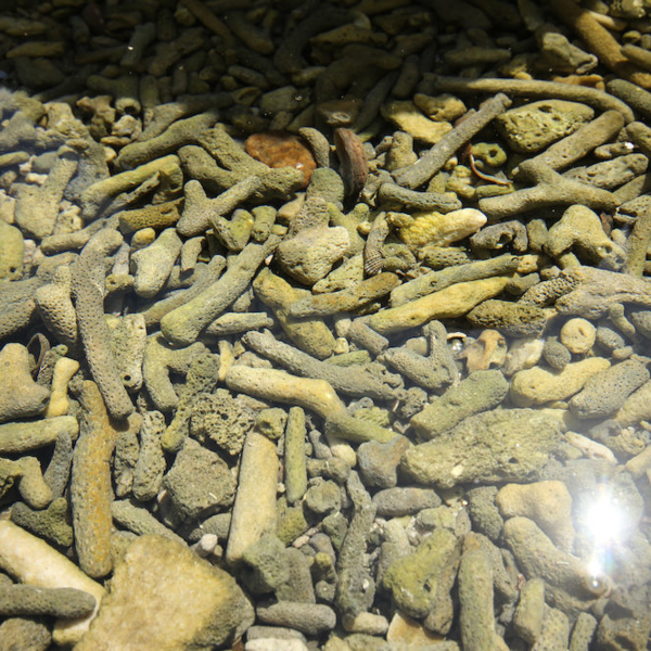 2016-08-07_10:08:55.JPG_1000