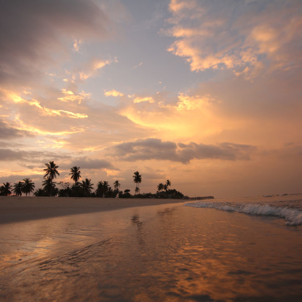 2016-08-10_18:19:30.JPG_1000