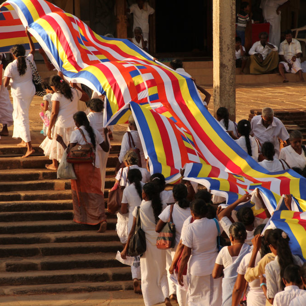 2016-08-14_17:22:12.JPG_1000