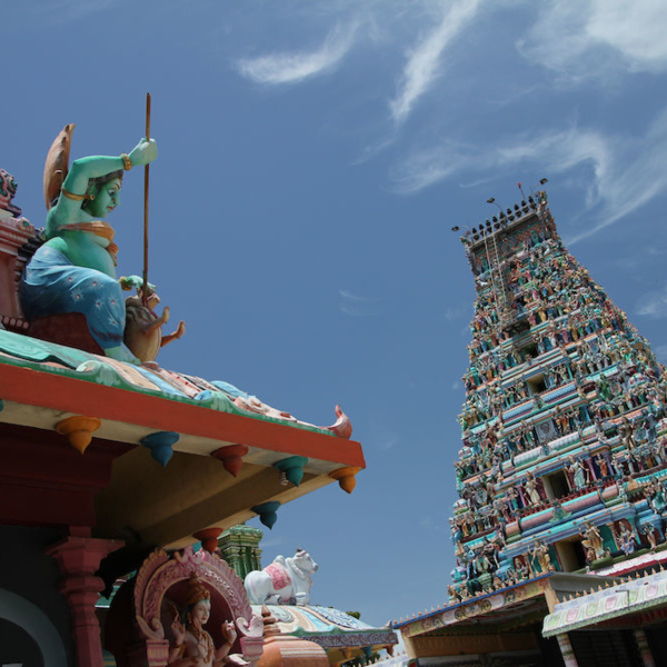 2016-08-18_12:54:34.JPG_1000