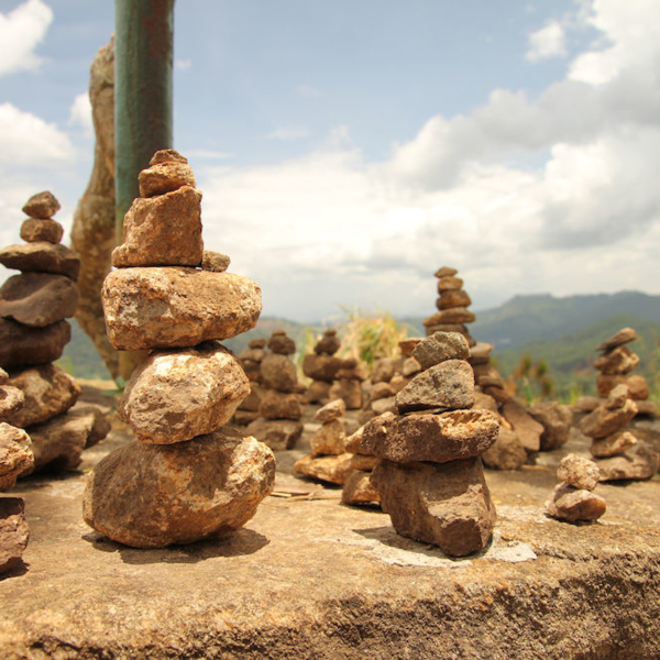 2016-08-23_11:44:00.JPG_1000