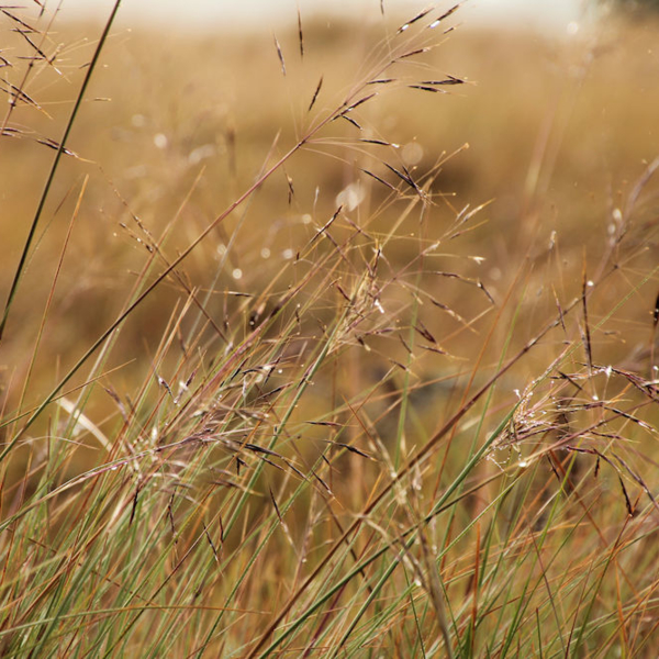 2016-08-25_07:10:42.JPG_1000